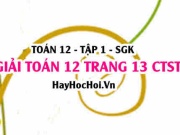 Giải Toán 12 trang 13 tập 1 Chân trời sáng tạo